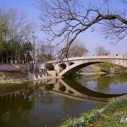 闲中忙人