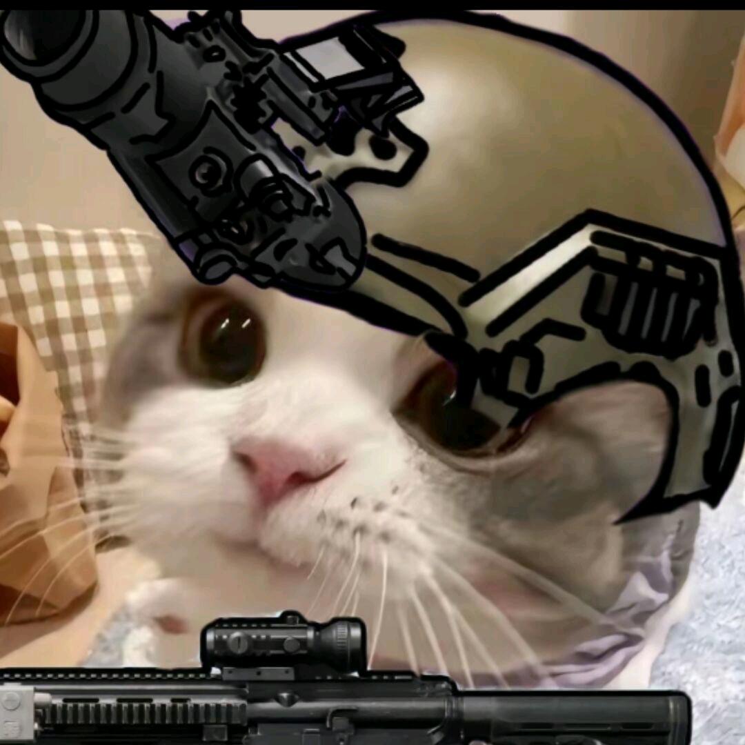 倾城(三角洲行动)