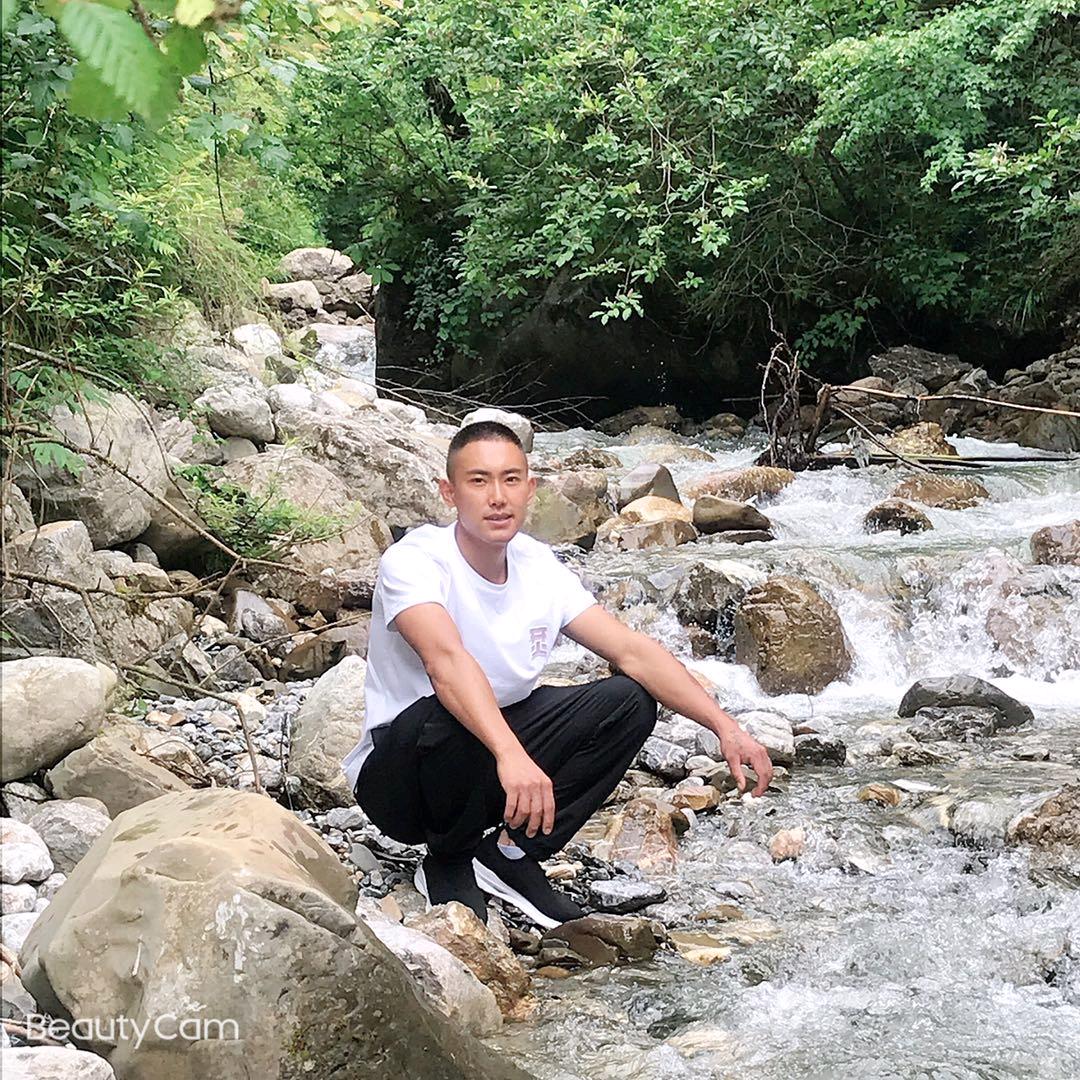 孔雀北飞