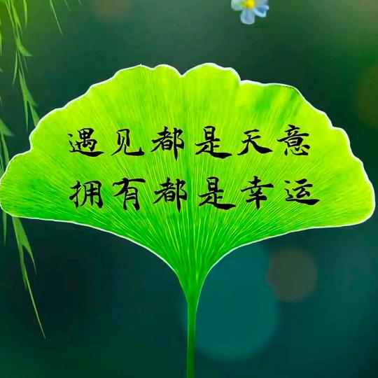 我的快乐我做主🌴️🌿️🍀️