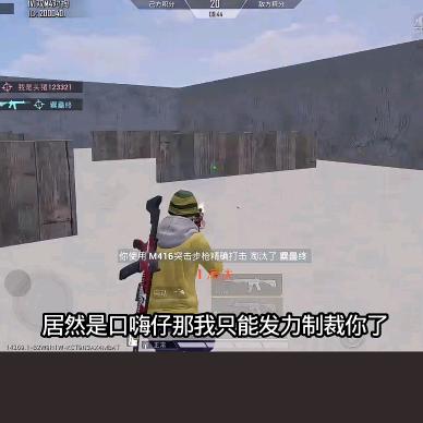 不会打游戏的小花菜