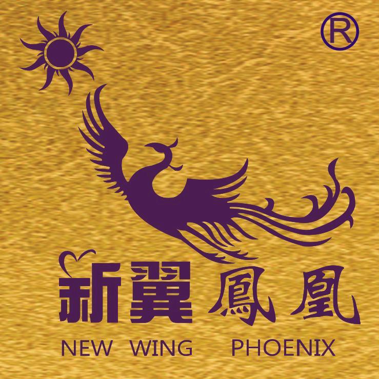 鳳朝陽*鳳舞九天隕石能量健康馆（小号）