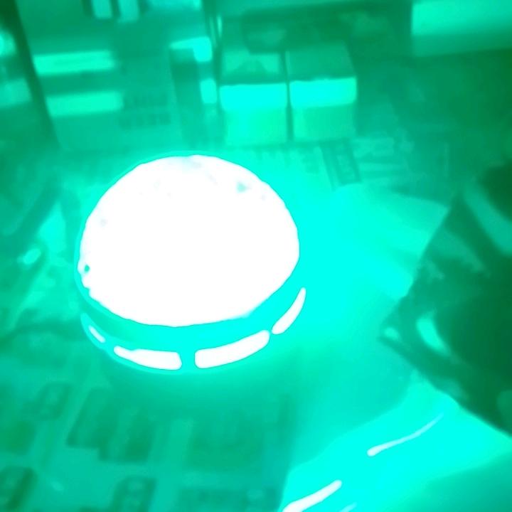 卢罗棵
