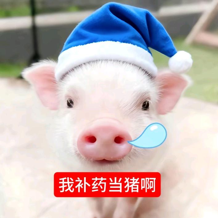 恋人
