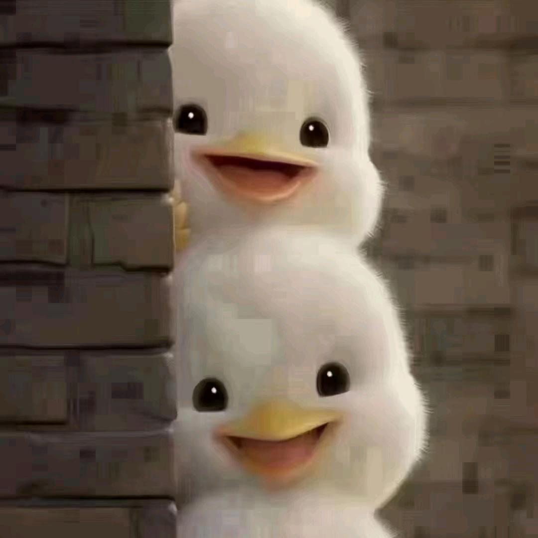 小Q来了