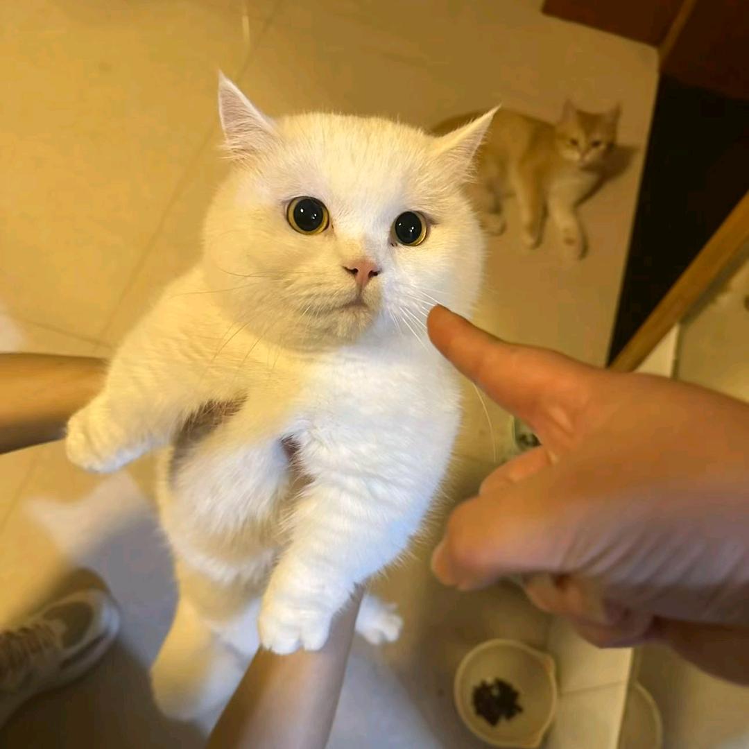 o O&