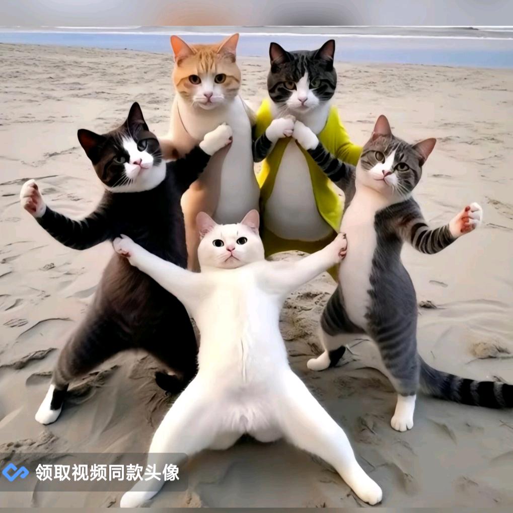 差不多!