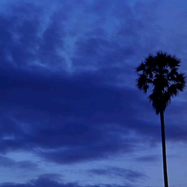 爱在那个深秋