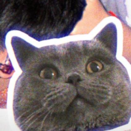 chewie罗