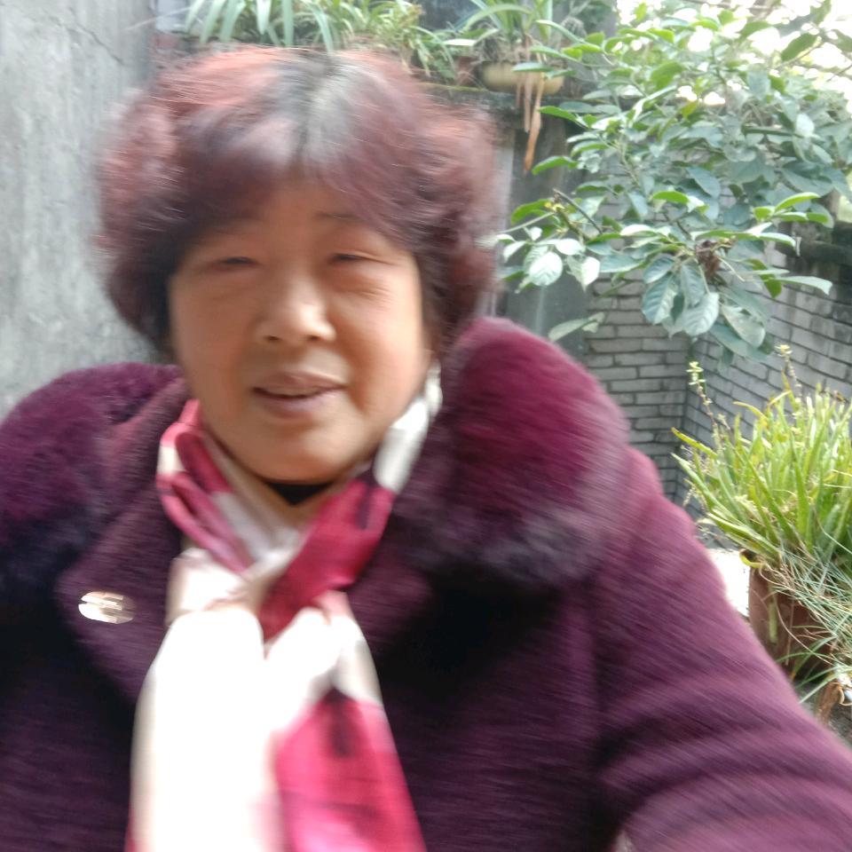 农村李姐