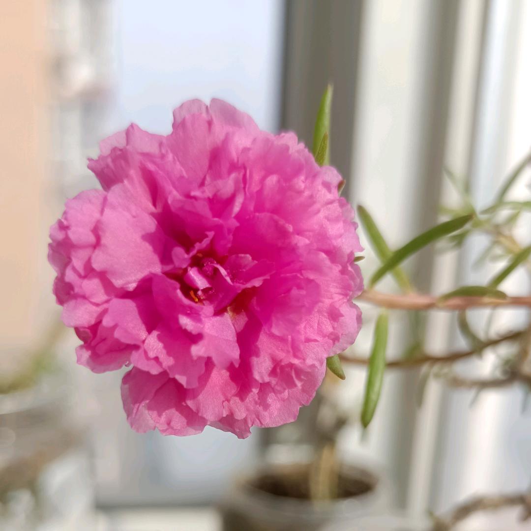 点点……