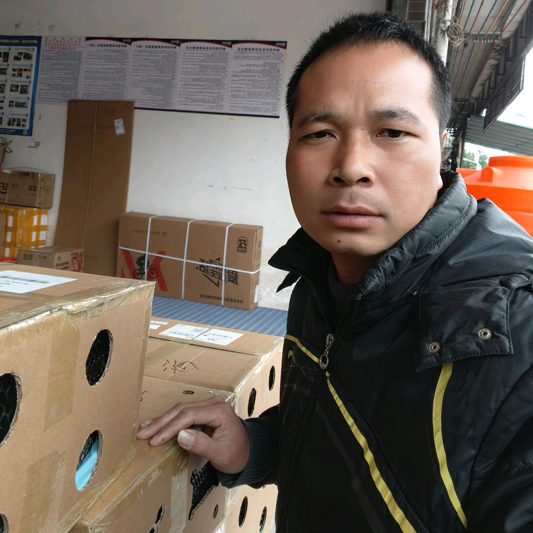 明辉竹鼠养殖