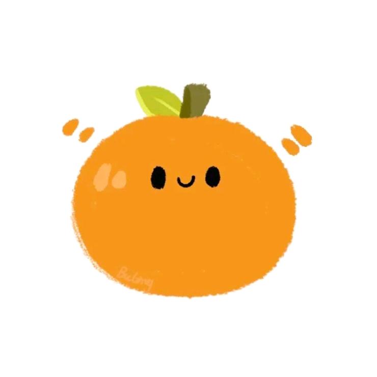小橙子🍊