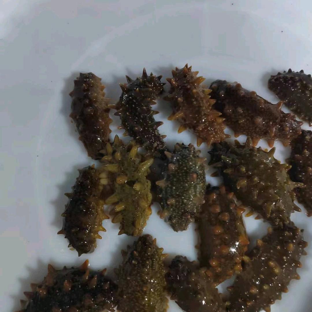 敏姐海参