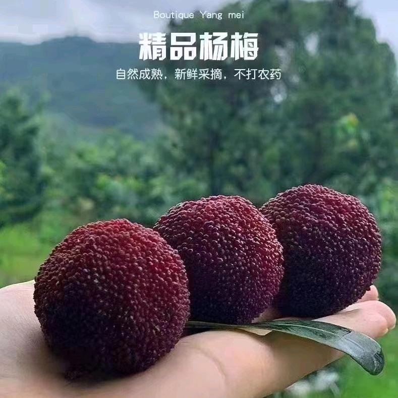 @雯雯
