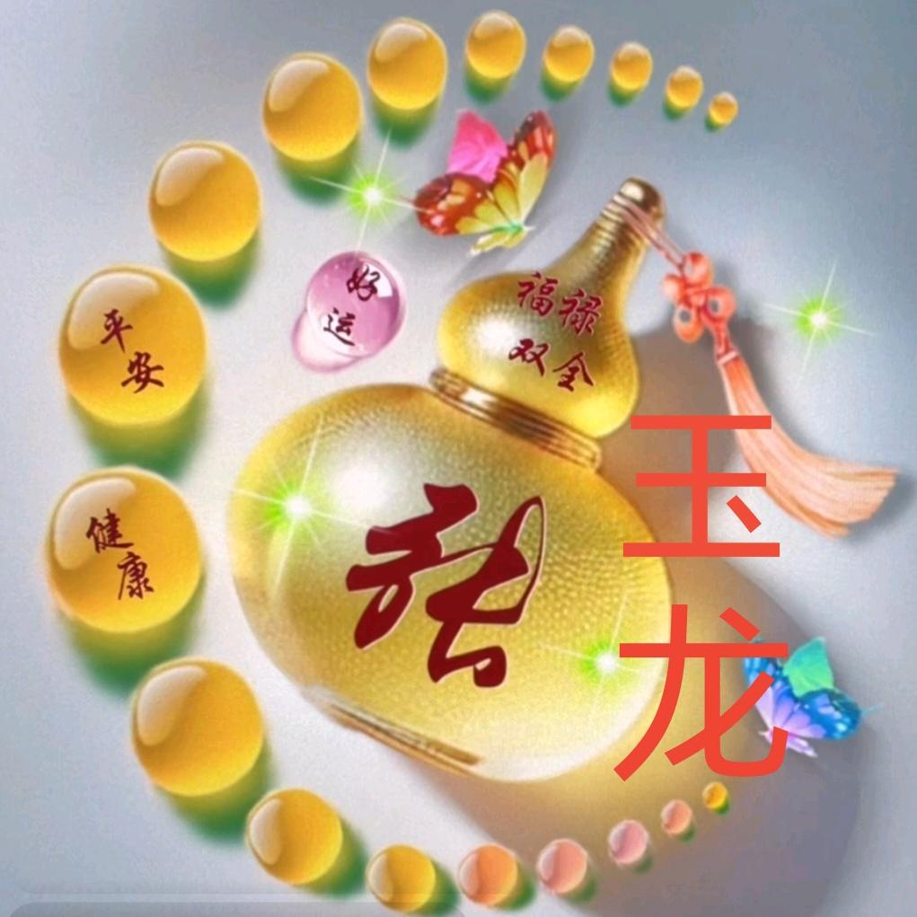 龙哥