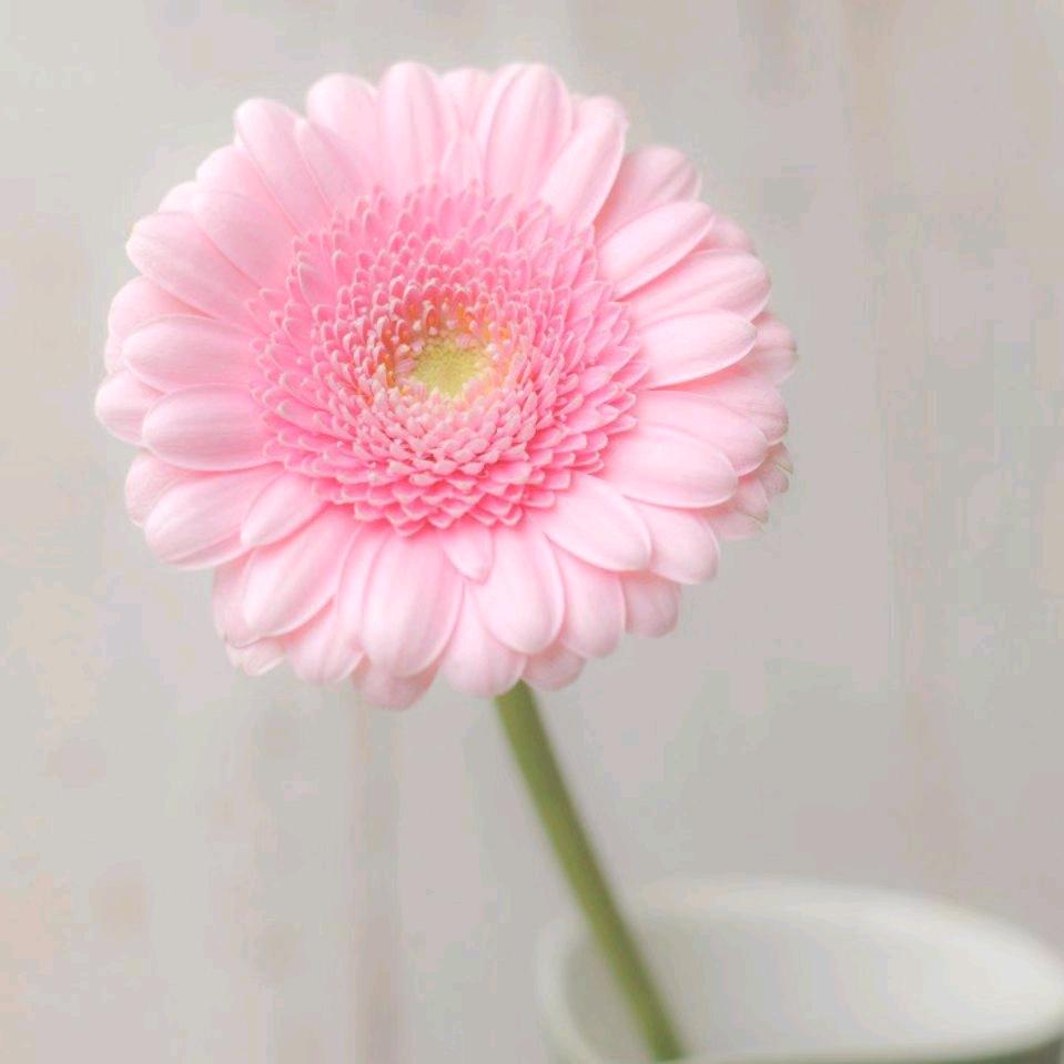 相信自己