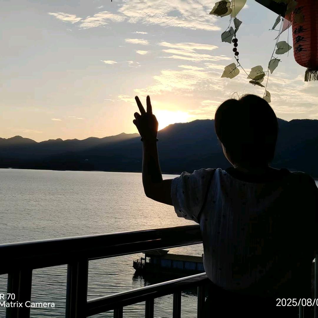 幸运草🍀