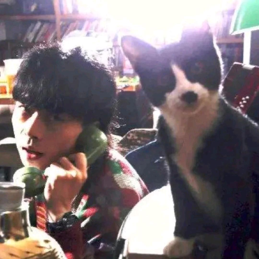 喜欢鱼丸的丸子