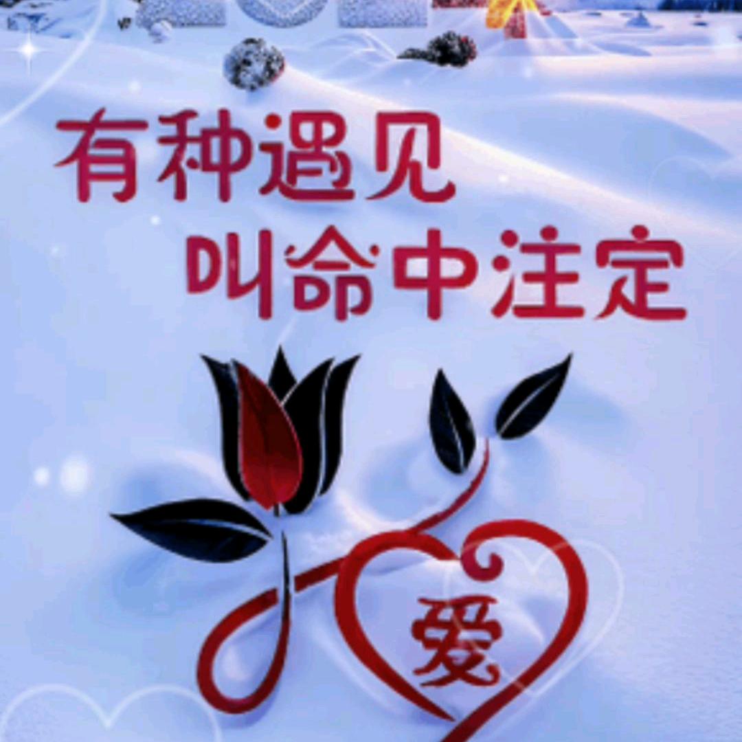 独宠你一生，1️⃣🕸️💗深