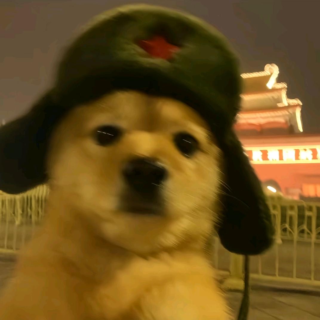 不知道起什么名字的名字