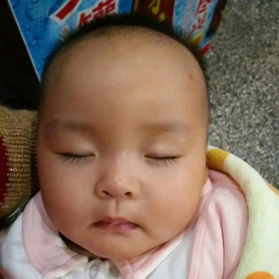 形单影只
