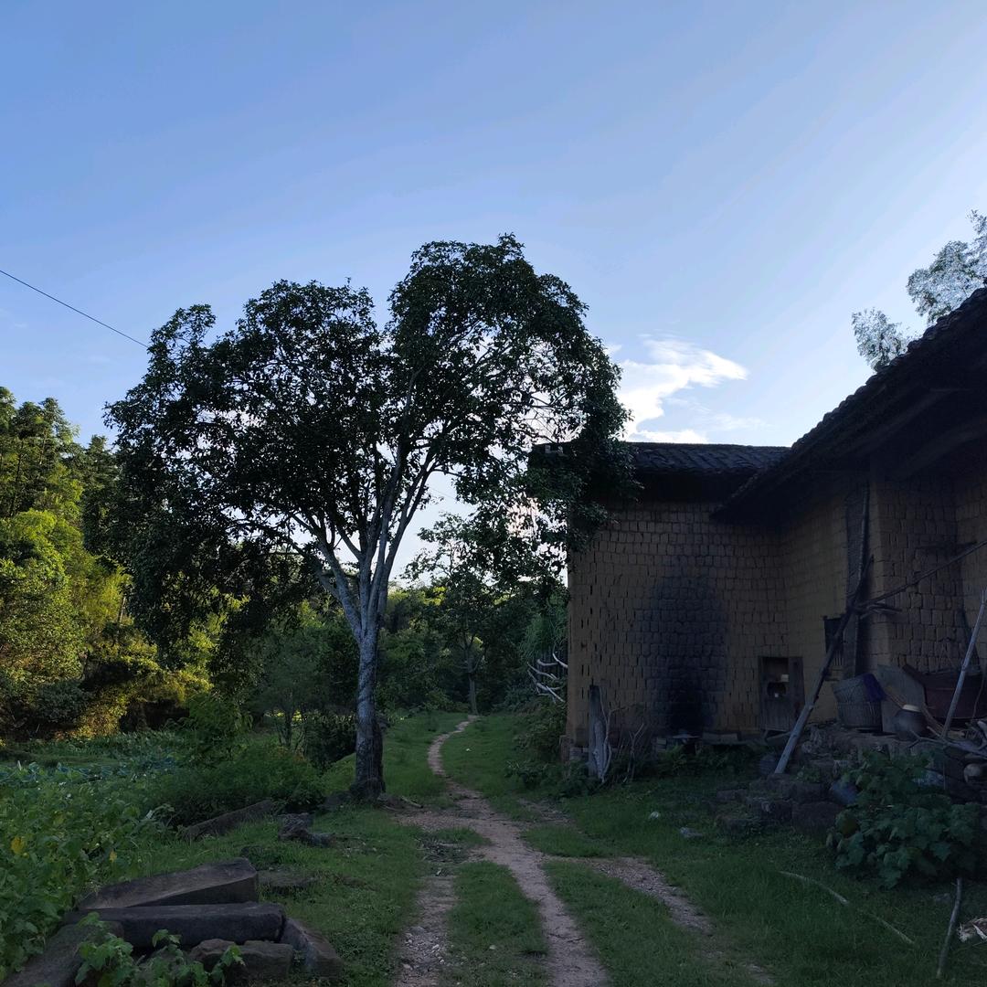 愿我所愿想我所想🍂((🍁⥎🍁))