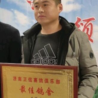 浩翔赛鸽-王兴浩
