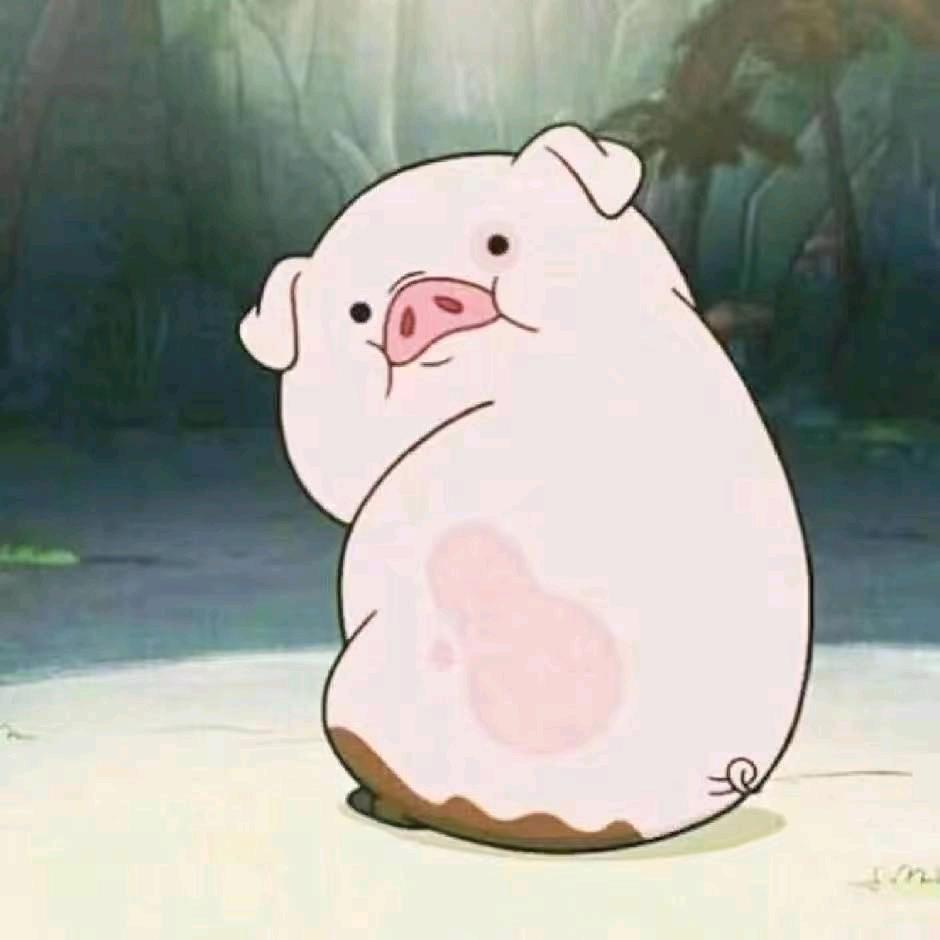 ᝰꫛꫀꪝ•⚘🌈