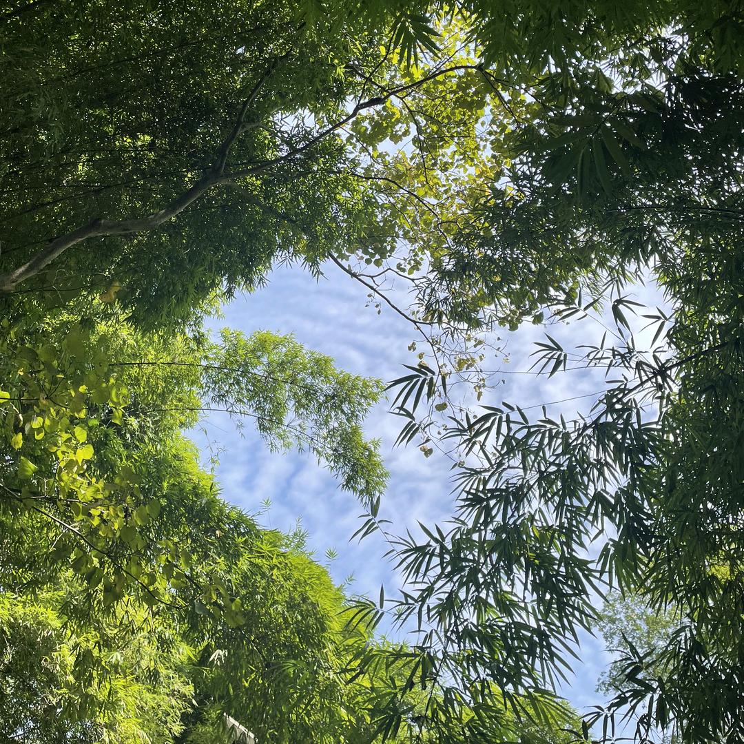 嗖~没了