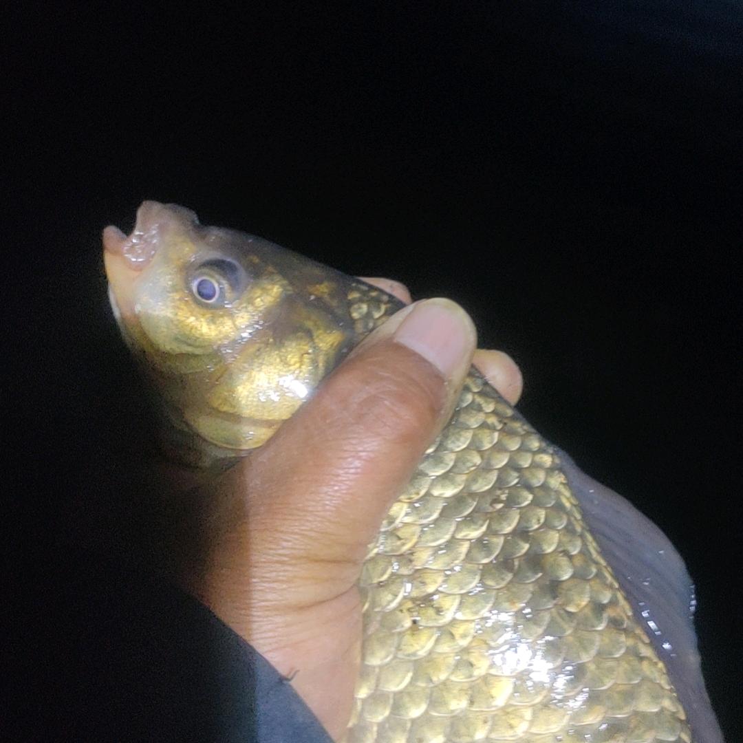 💋涿州 你 东哥921