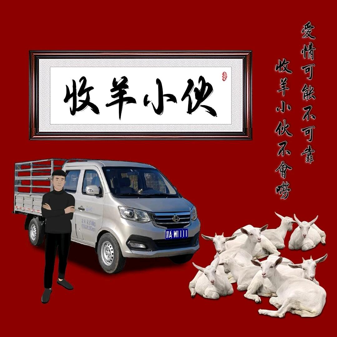 灰太狼¥