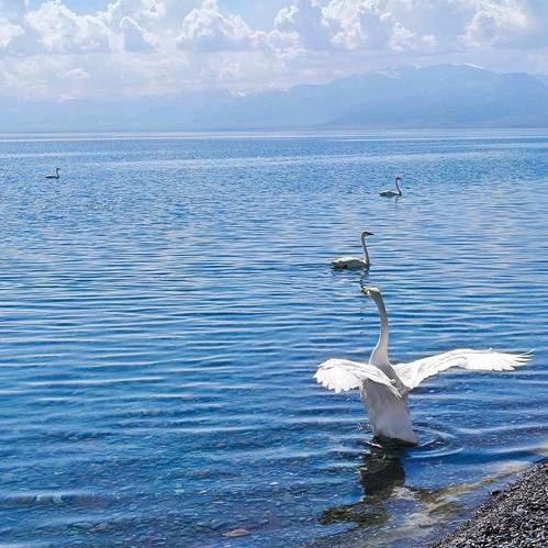 金典永流传