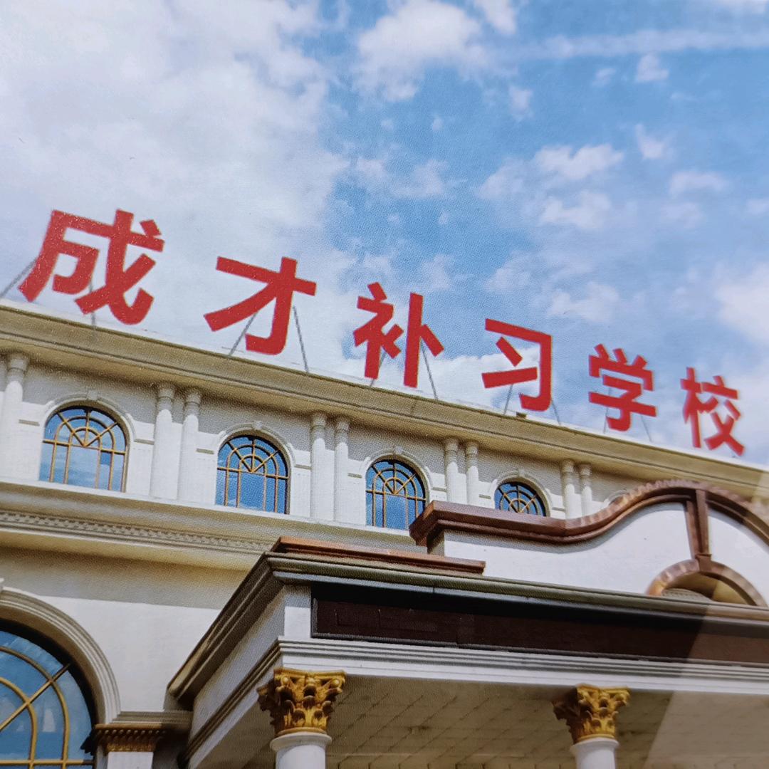 西安成才校王老师