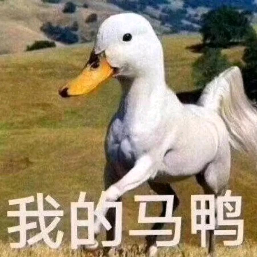 ___余生   请多指教！🌴