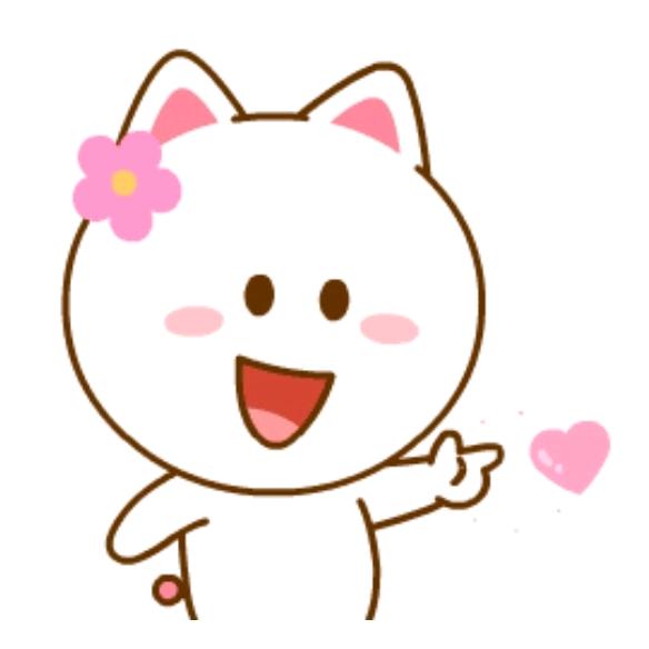 💞飞💞