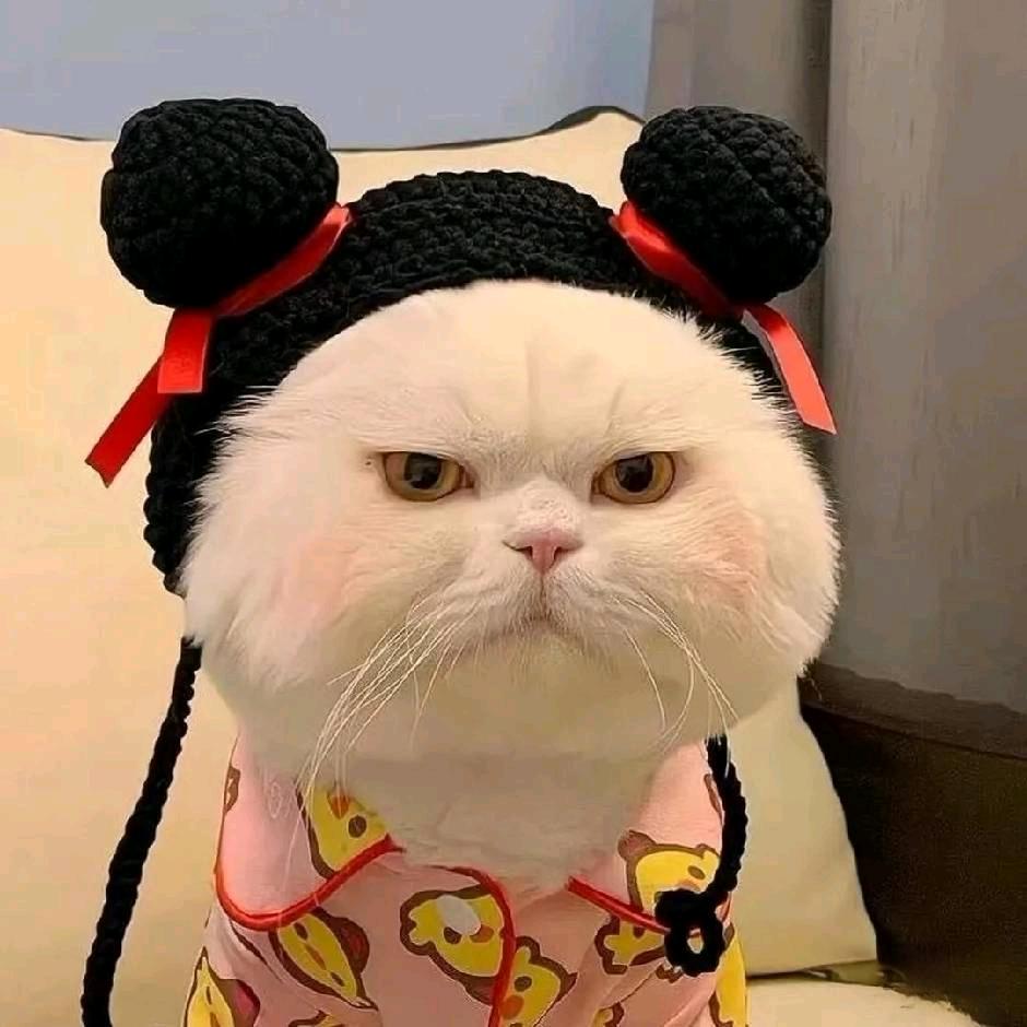 是清心吖