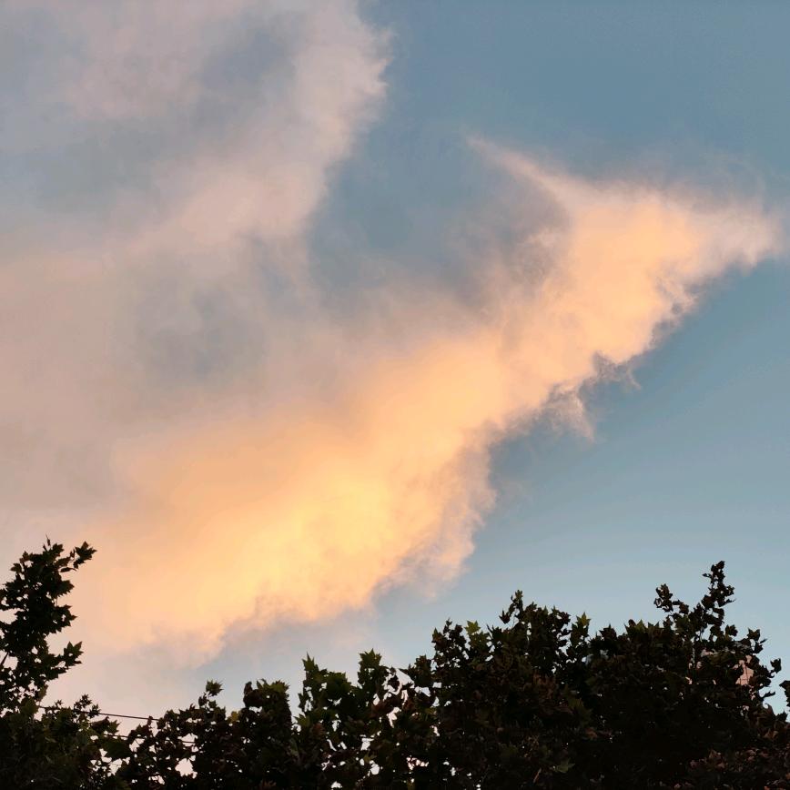 童年无所畏惧者