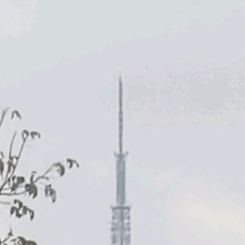 灵机一动就成才