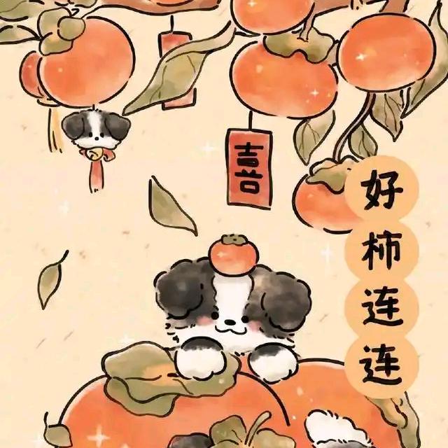 杨小飞