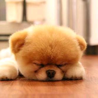 ༄ℳ:清风🌿ᮩ້꧔ꦿ᭄