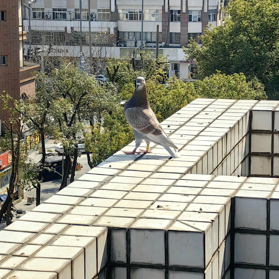 入坑小白