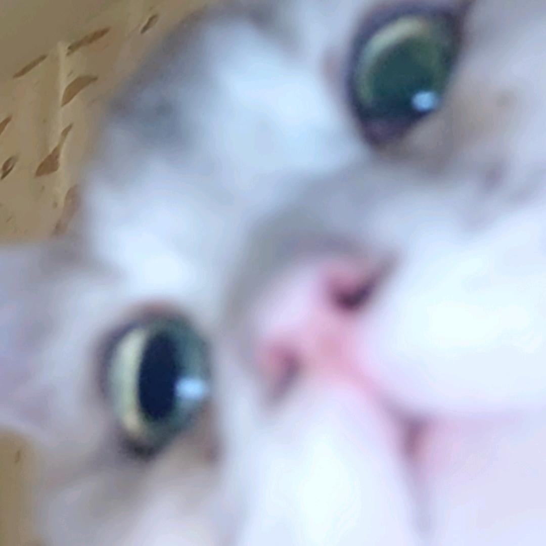 M安安