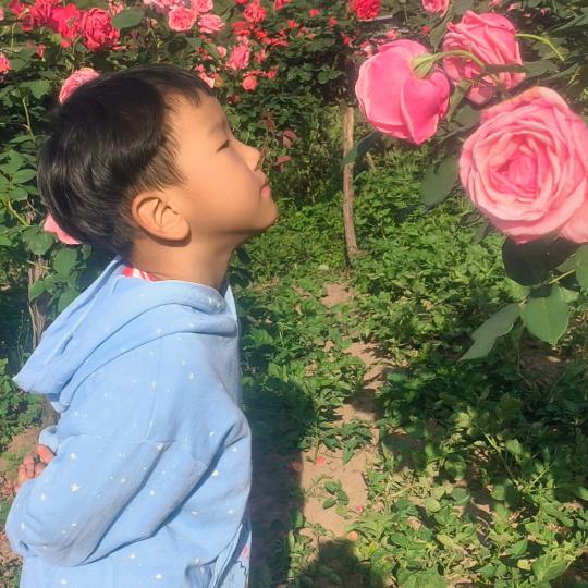 ℋ💞᭄ღ᭄命中注定的缘分🕊꧔ꦿ᭄?