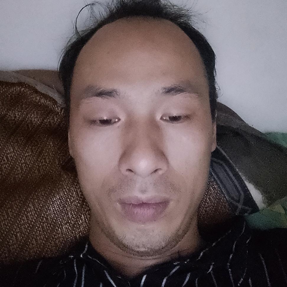 贰零贰伍金蛇贺岁