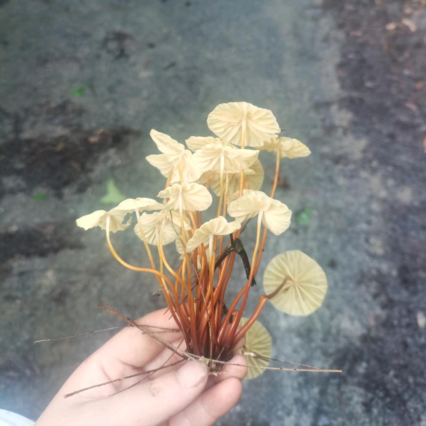 恩施州星媒传媒有限公司.