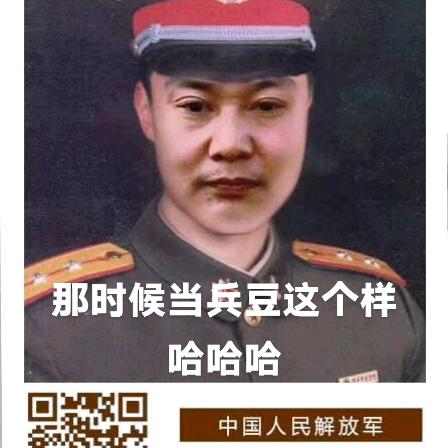 丙晨年三哥