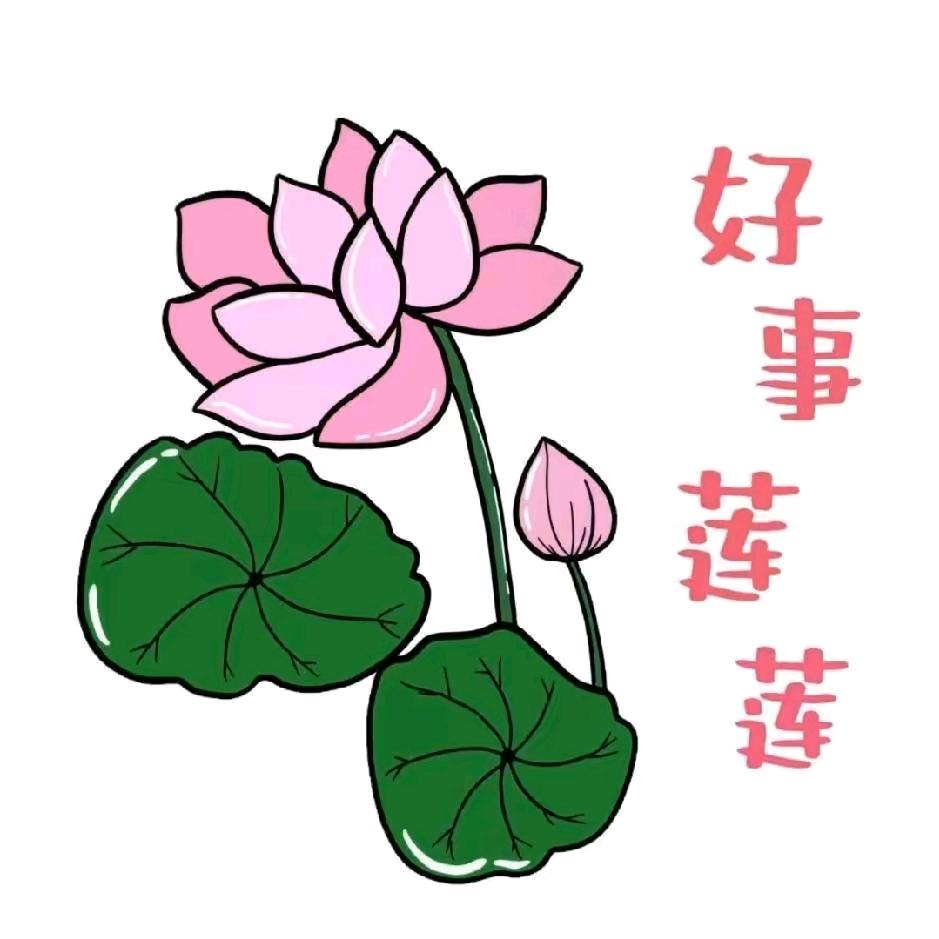 莲莲好事