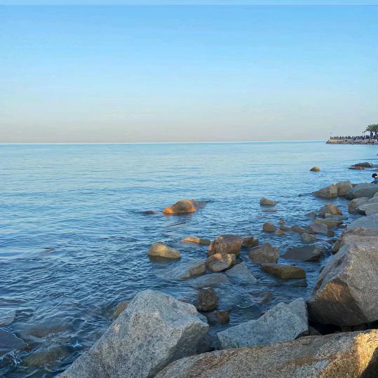 乐博士贴膜（健康路店）