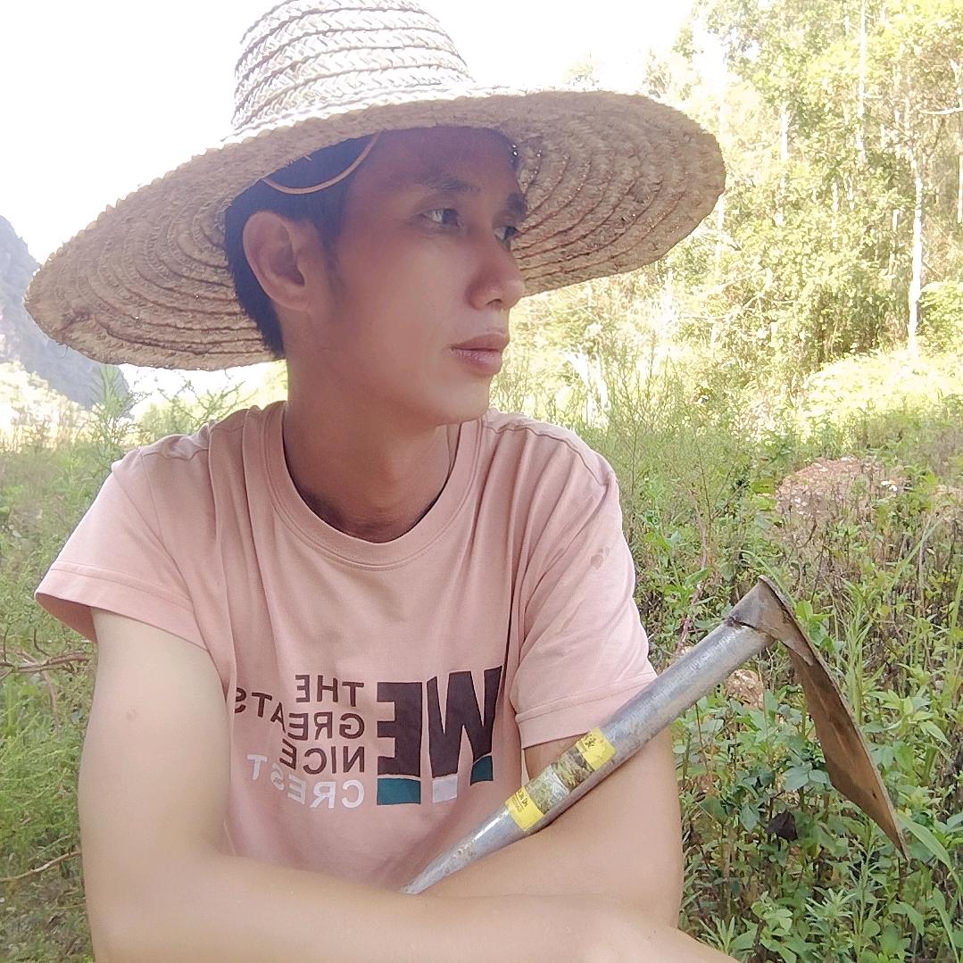 寻草君